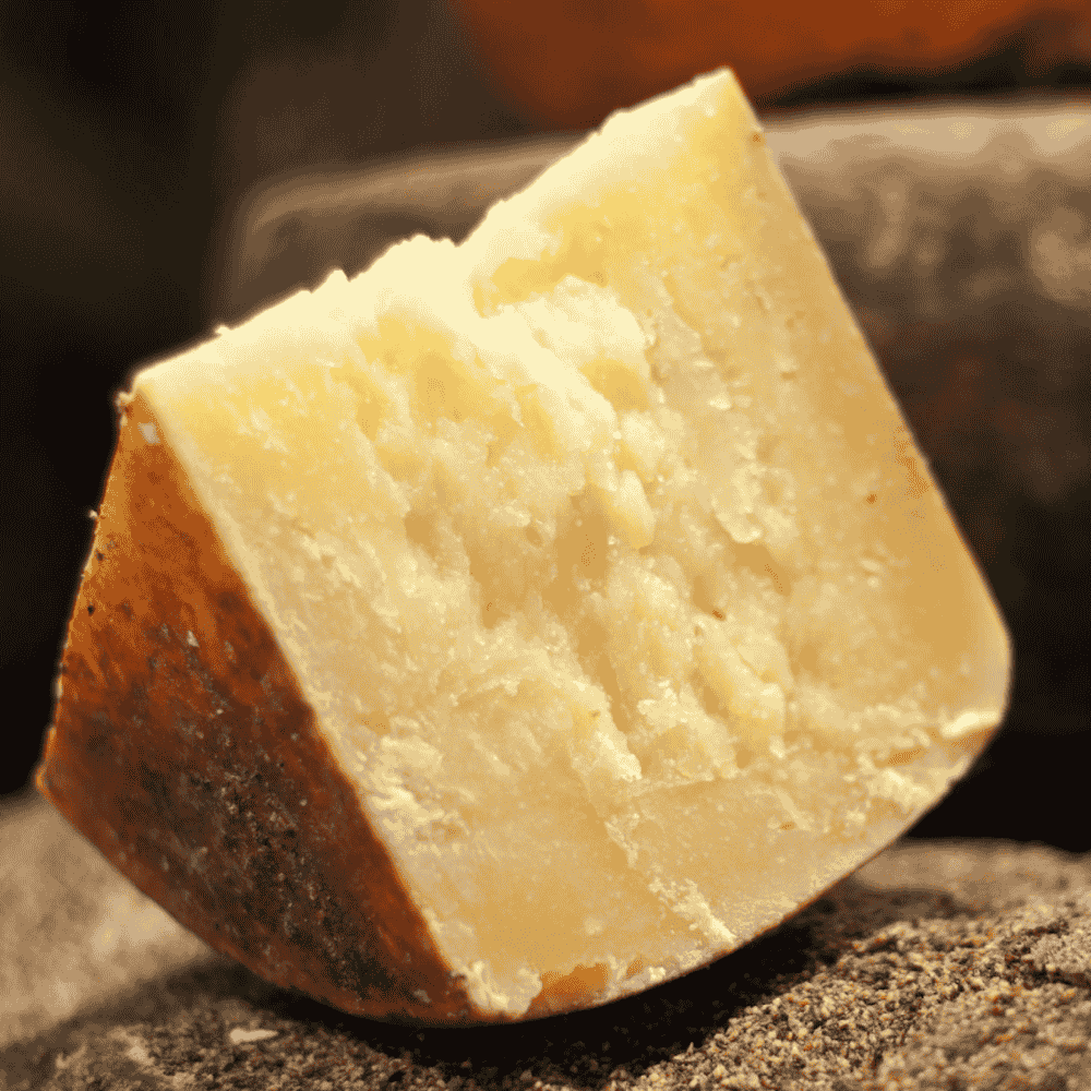 pecorino sardo italian cheese close up