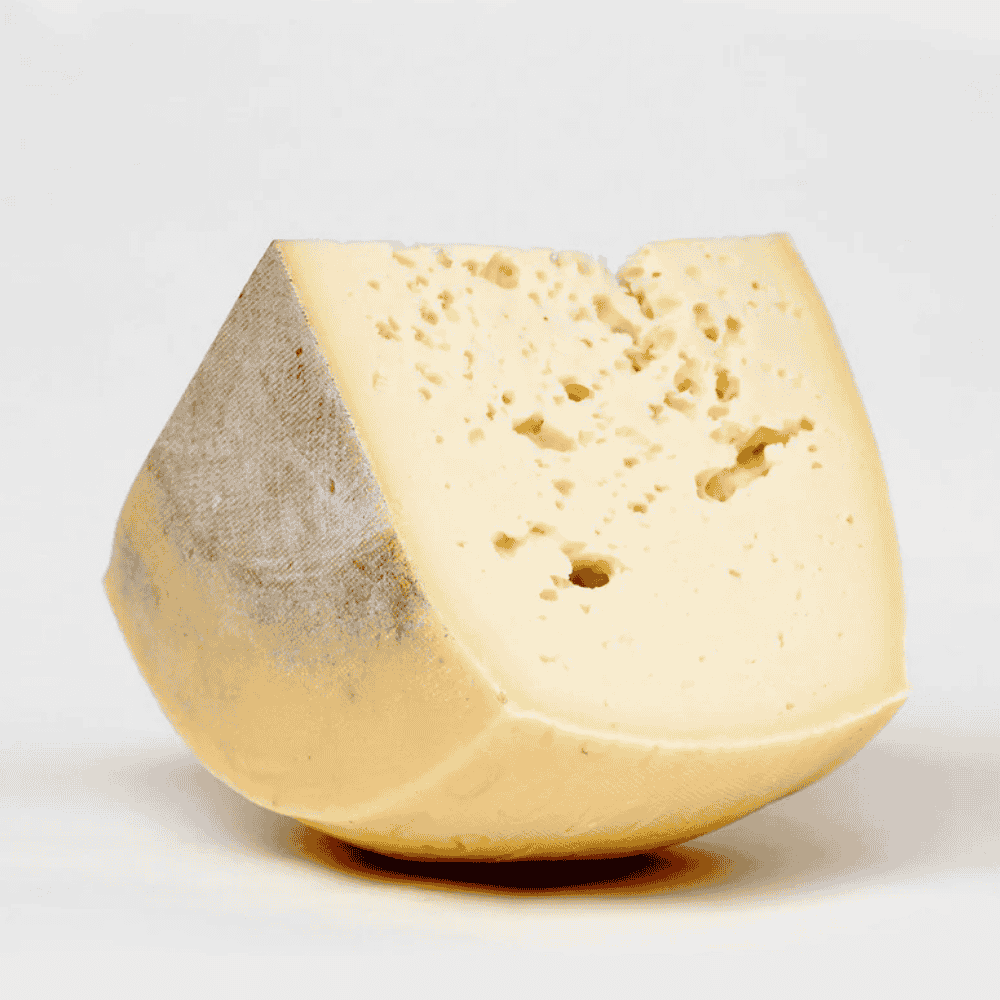 Asiago_Cheese_1